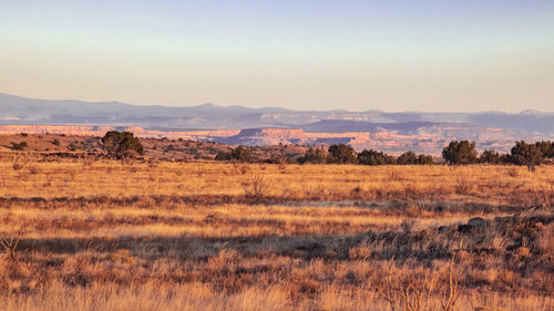 Scenic view of landscape against sky during sunset