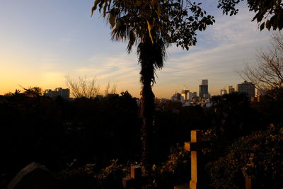 Silhouette trees and buildings against sky during sunset