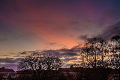 Silhouette trees against dramatic sky during sunset