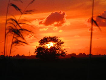 Silhouette trees on field against romantic sky at sunset