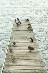 View of wooden pier on lake