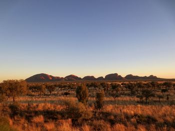 Scenic view of landscape against clear sky