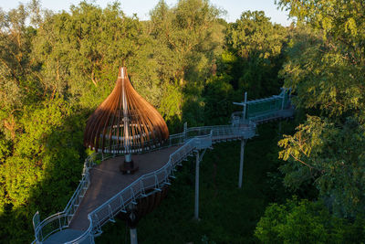 Footbridge amidst trees in forest during autumn