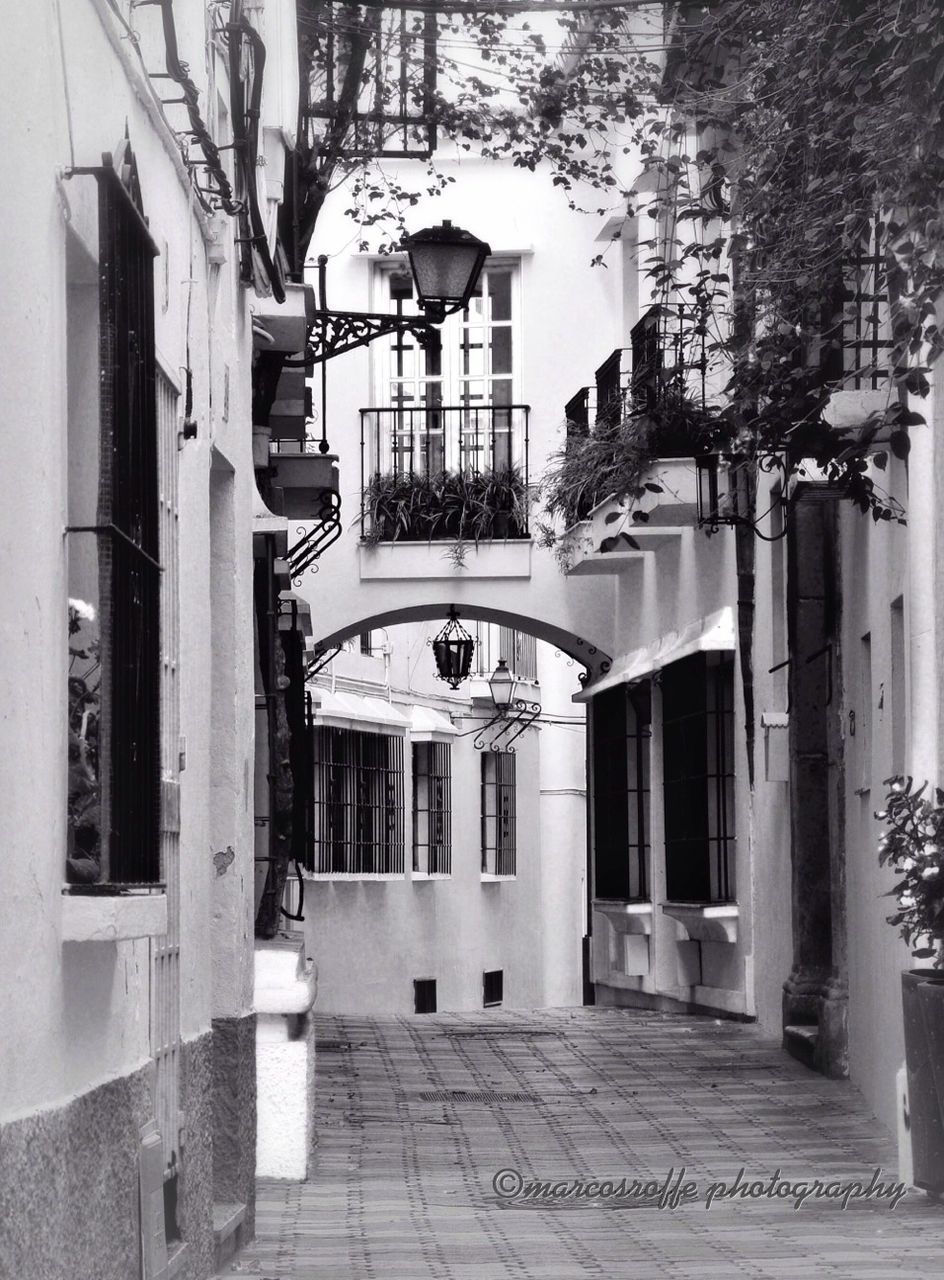 architecture, building exterior, built structure, city, building, the way forward, residential building, residential structure, street, day, incidental people, tree, window, outdoors, narrow, sunlight, street light, no people, empty, alley