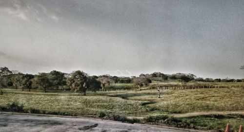 Scenic view of field against sky