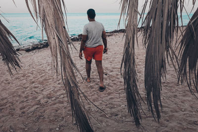 Rear view of man walking on shore at beach