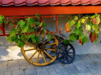 Bicycle parked by tree outside house