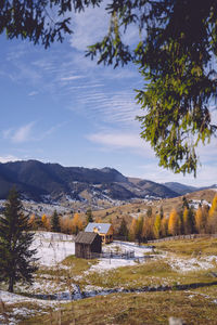 Trees and houses on field against sky