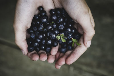 Close-up of hand holding berries