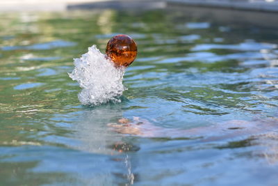 Close-up of ball in swimming pool