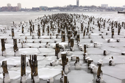 View of wooden posts in the sea