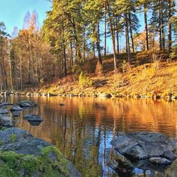 Reflection of trees in lake against sky