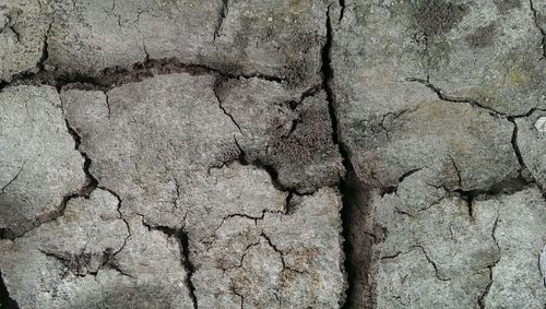 Full frame shot of cracked wall