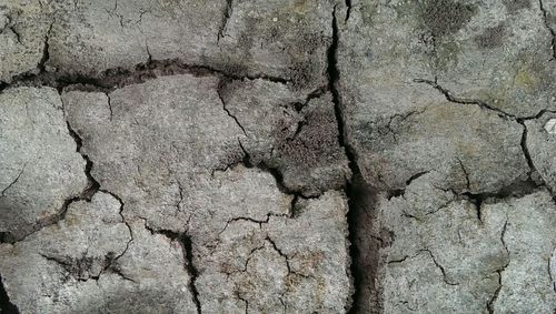 Full frame shot of cracked wall