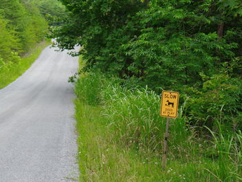 Information sign on road by trees