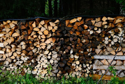 Stack of logs in forest