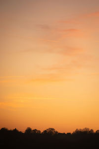 Scenic view of silhouette trees against orange sky