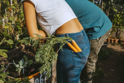 Midsection of male and female volunteers picking vegetables at farm