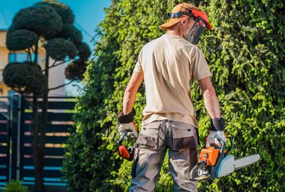 Man with handsaw standing by plants at yard