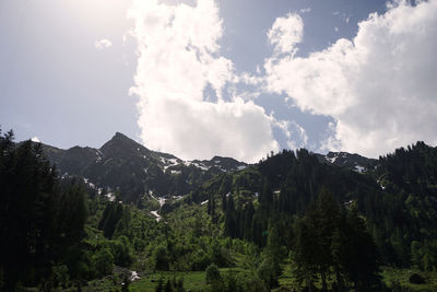 Panoramic view of trees and mountains against sky