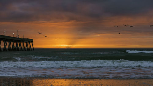 Seagulls on beach during sunset