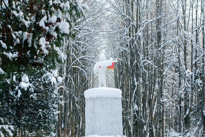 Snow covered trees in forest