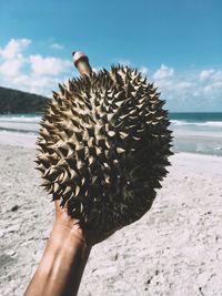 Cropped image of hand holding sea shore against sky