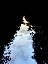 Low angle view of silhouette trees against sky