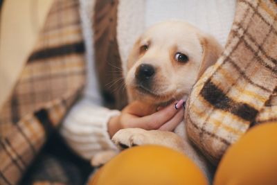 Midsection of woman with dog