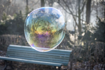 Close-up of bubbles in mid-air