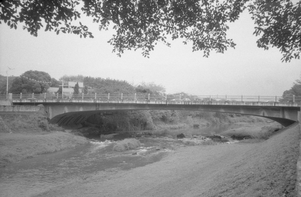 tree, water, black and white, plant, nature, architecture, bridge, built structure, monochrome photography, sky, monochrome, day, no people, transportation, infrastructure, waterway, river, outdoors, environment, city