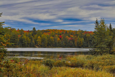 Scenic view of lake by trees against sky during autumn