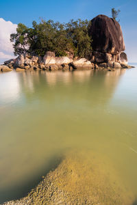 Scenic view of rocks and trees against sky