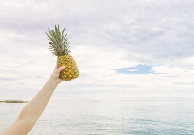 Close-up of hand holding pineapple