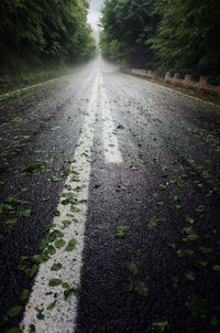 Surface level of wet road amidst trees in city