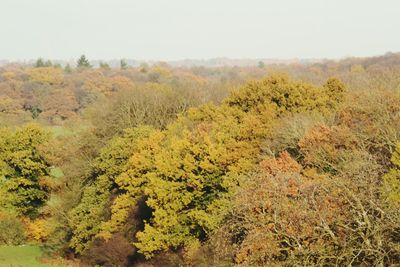 Scenic view of landscape against clear sky