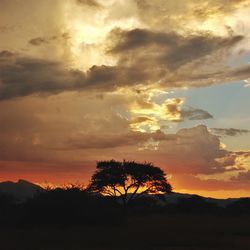 Silhouette trees on landscape against dramatic sky during sunset