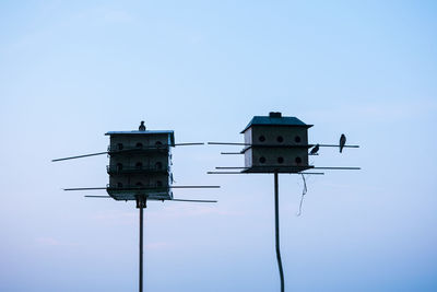 Low angle view of a bird against the sky