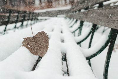 Close-up of snow