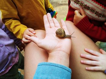 Cropped hand of woman with snail on hand