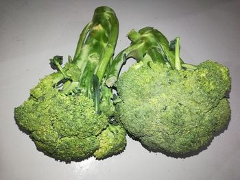 High angle view of green pepper against white background