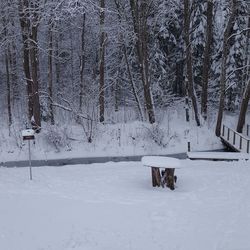 Snow covered field by trees in forest