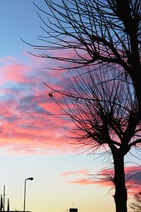 Low angle view of silhouette tree against sky at sunset