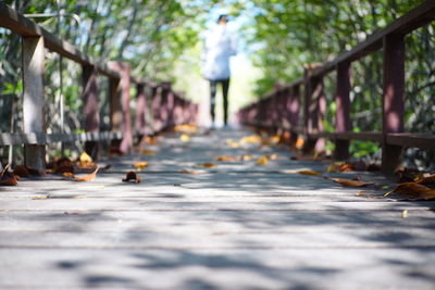 Surface level of footpath amidst leaves