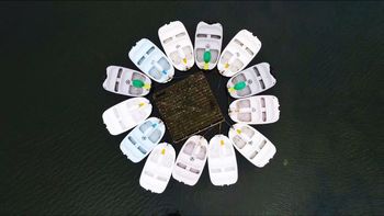 High angle view of moored boats