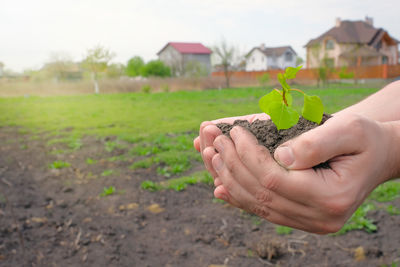 Cropped hand of woman holding flower