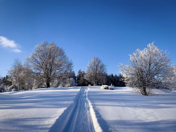 Bare tree on snow covered field against clear blue sky