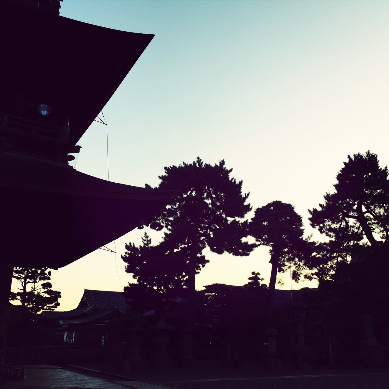 building exterior, architecture, built structure, clear sky, low angle view, silhouette, tree, copy space, house, building, residential structure, residential building, sky, sunset, dusk, outdoors, city, no people, sunlight, street light