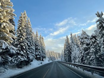 Road amidst trees against sky