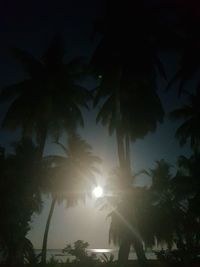 Low angle view of silhouette trees against sky